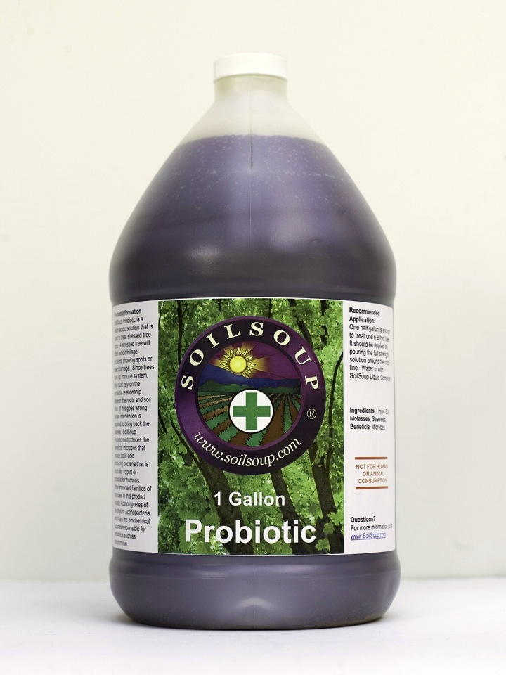 Probiotic